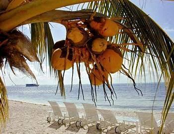 Worldmark Station touristique Isla Mujeres